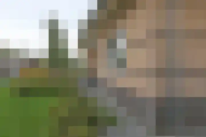 Medwert 2 Dokkum thumbnail 52