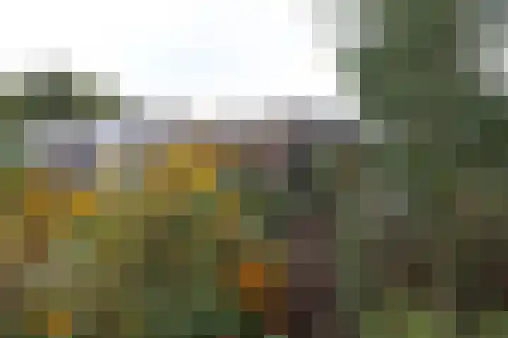 Medwert 2 Dokkum thumbnail 53
