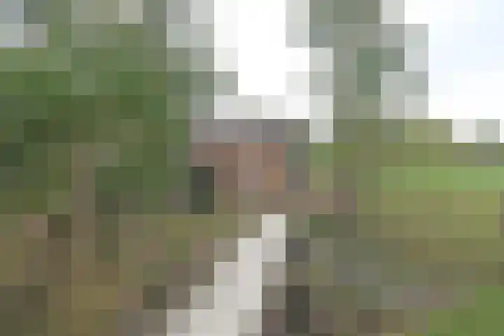 Medwert 2 Dokkum thumbnail 54