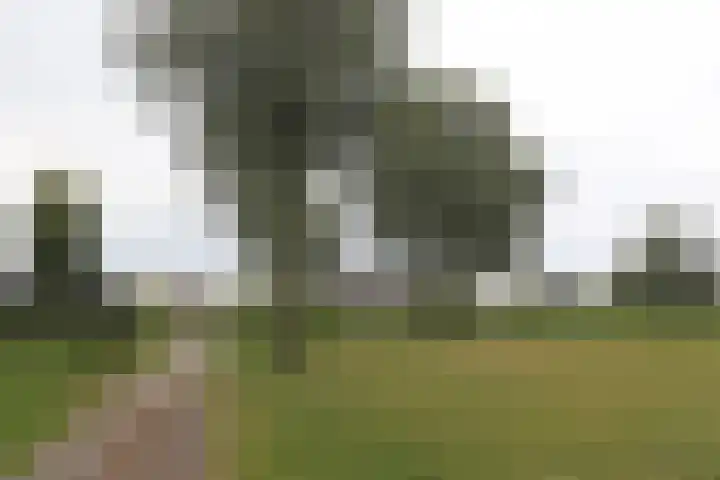 Medwert 2 Dokkum thumbnail 55