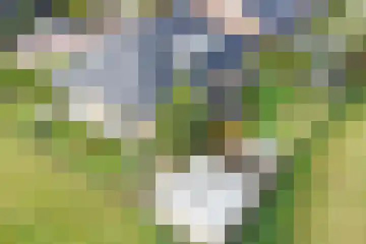 Medwert 2 Dokkum thumbnail 57