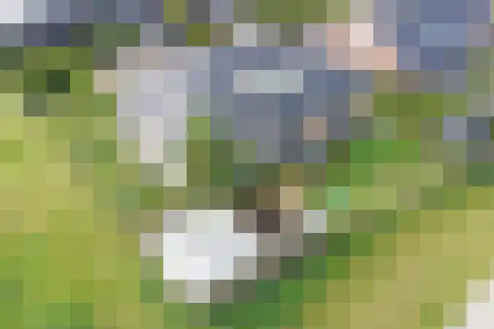 Medwert 2 Dokkum thumbnail 58
