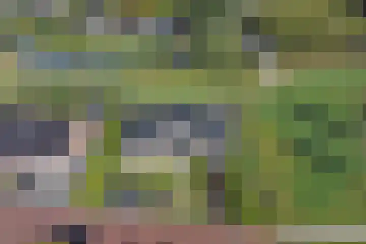 Medwert 2 Dokkum thumbnail 7