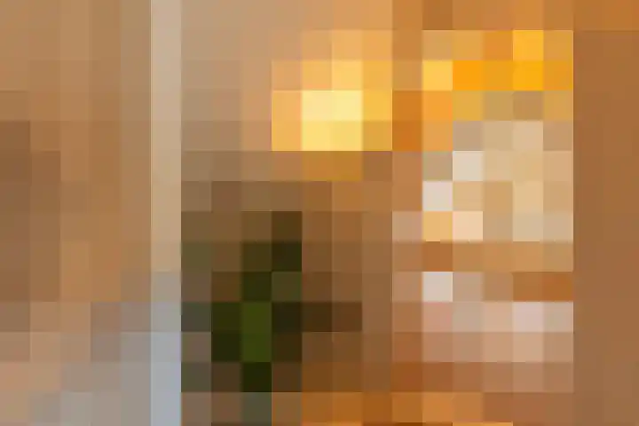 Medwerterwei 7 Holwert thumbnail 25