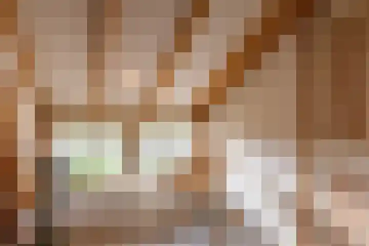 Medwerterwei 7 Holwert thumbnail 26