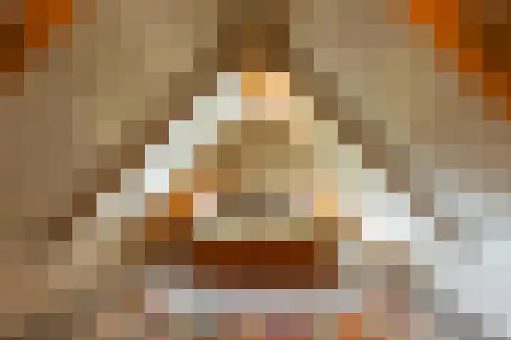 Medwerterwei 7 Holwert thumbnail 28