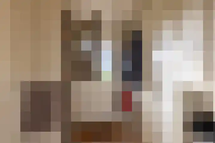 Medwerterwei 7 Holwert thumbnail 34