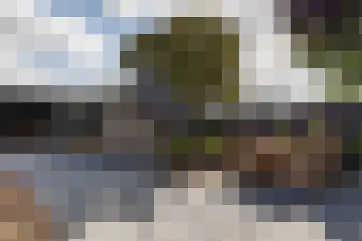 Medwerterwei 7 Holwert thumbnail 38