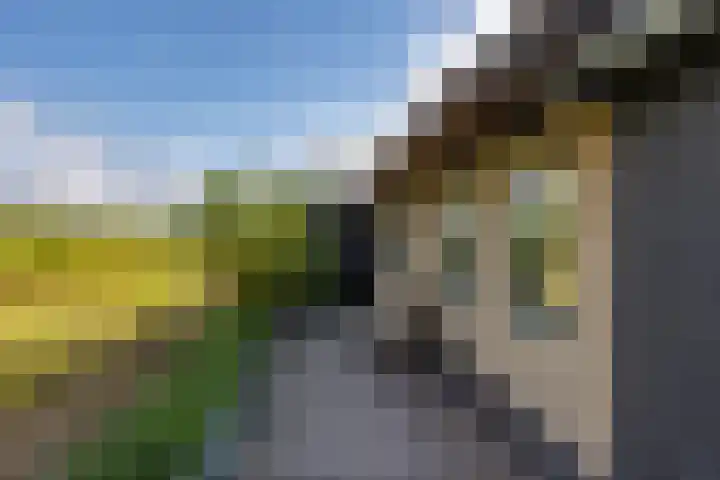 Medwerterwei 7 Holwert thumbnail 47