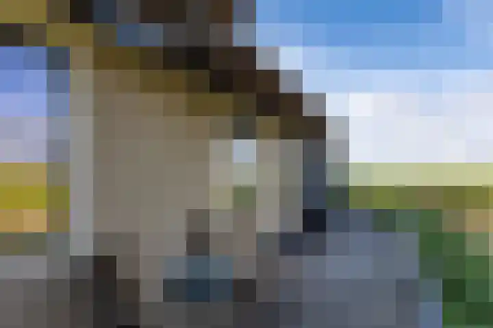 Medwerterwei 7 Holwert thumbnail 48