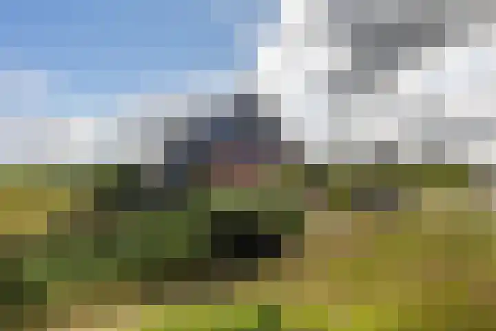 Medwerterwei 7 Holwert thumbnail 5