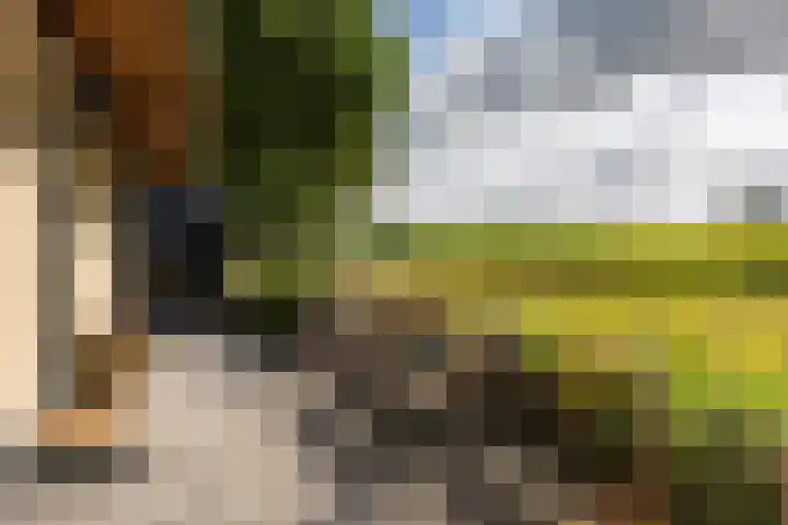 Medwerterwei 7 Holwert thumbnail 50