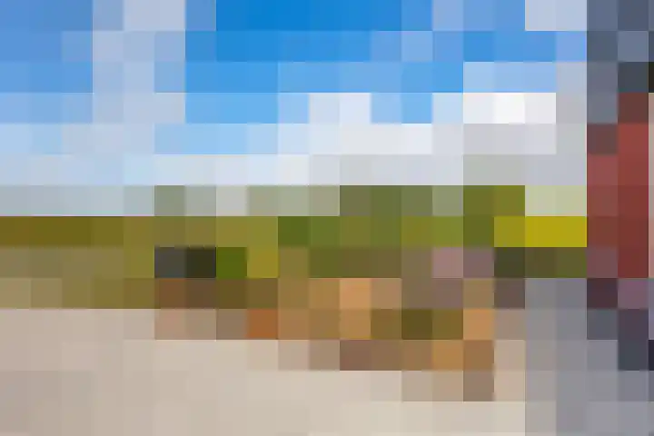 Medwerterwei 7 Holwert thumbnail 51