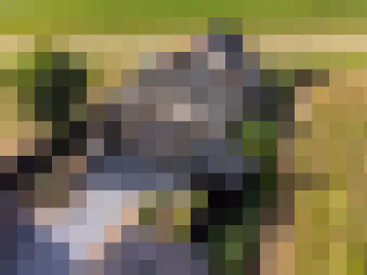 Medwerterwei 7 Holwert thumbnail 54