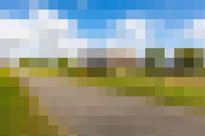 Medwerterwei 7 Holwert thumbnail 56