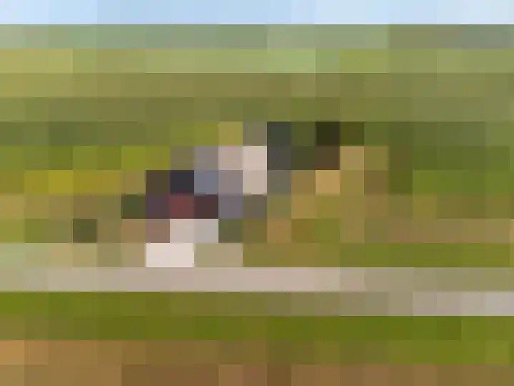 Medwerterwei 7 Holwert thumbnail 58