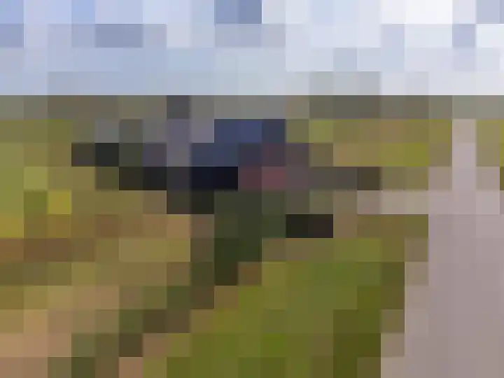 Medwerterwei 7 Holwert thumbnail 59