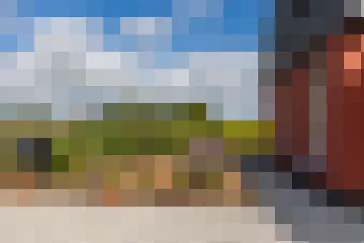 Medwerterwei 7 Holwert thumbnail 6