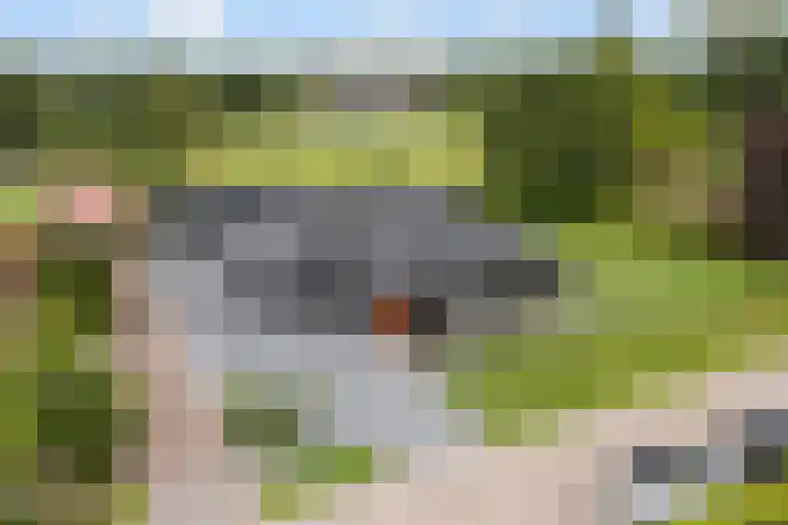 Meekmastrjitte 21 dans Broeksterwâld