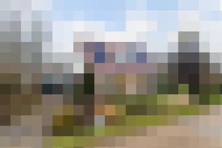 Meekmastrjitte 23 dans Broeksterwâld