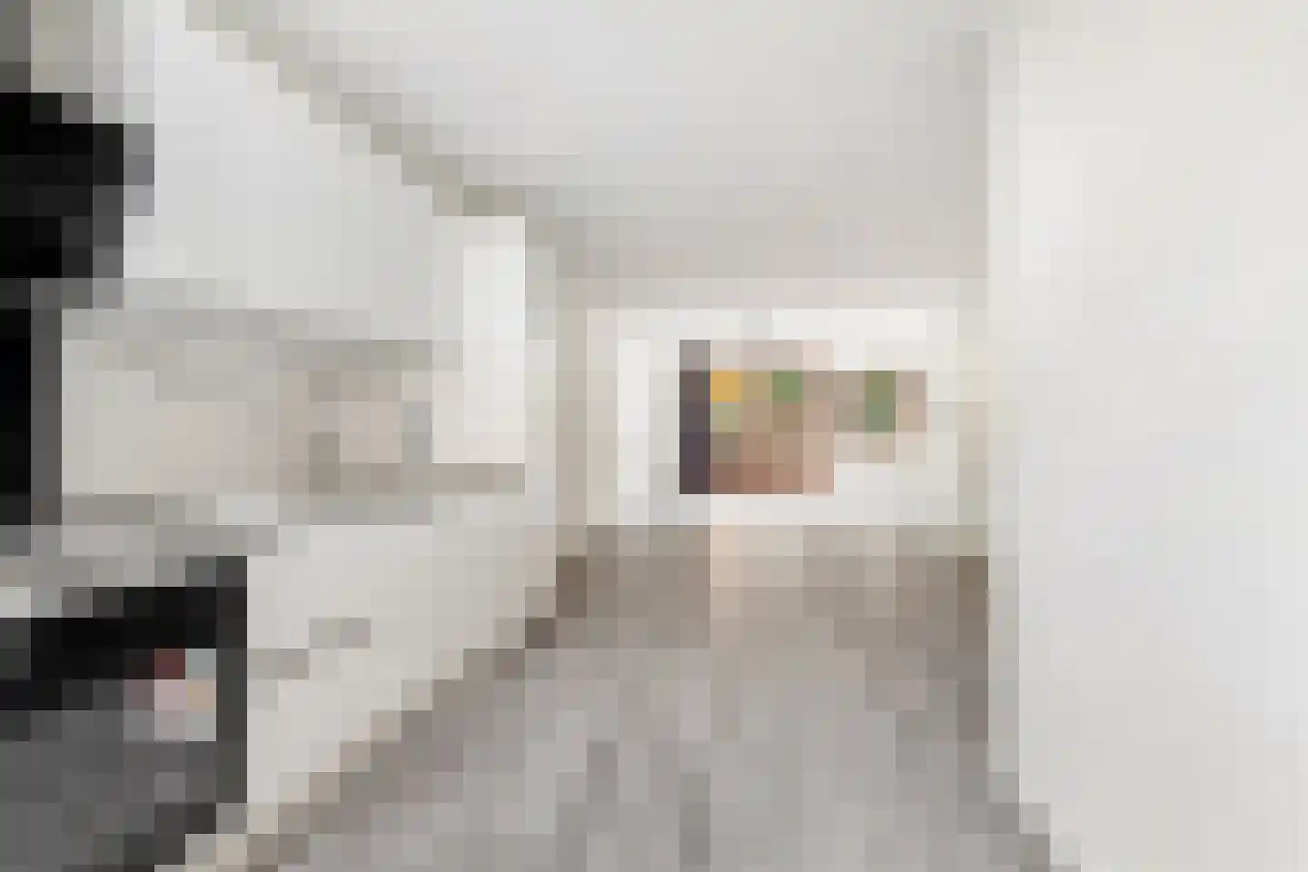 Meekrapstraat 33 Rotterdam thumbnail 17
