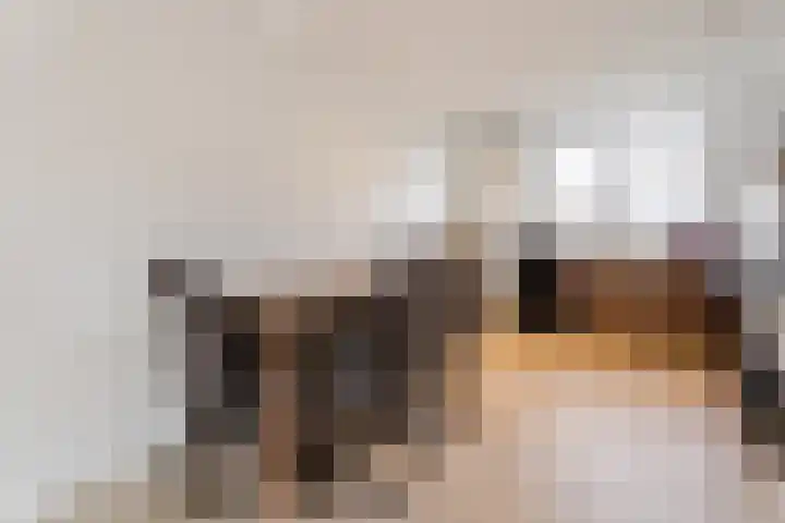 Meeldijk 20 Spijkenisse thumbnail 10