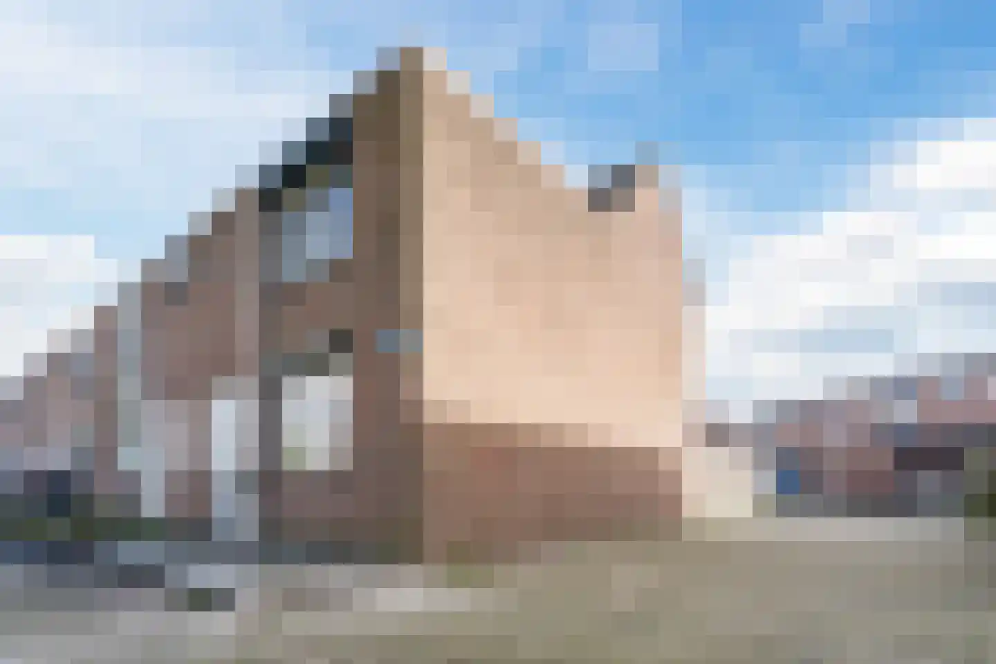 Meeldijk 20 Spijkenisse thumbnail 33