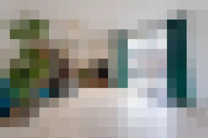 Meeldijk 20 Spijkenisse thumbnail 5