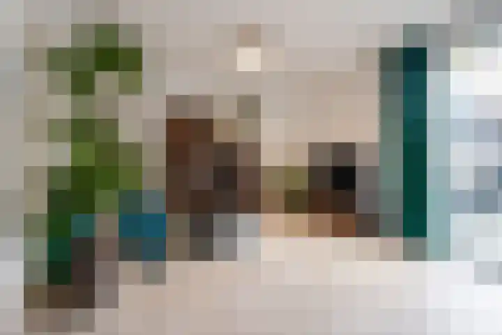 Meeldijk 20 Spijkenisse thumbnail 6