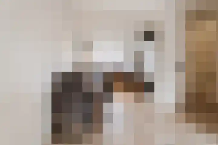 Meeldijk 20 Spijkenisse thumbnail 9