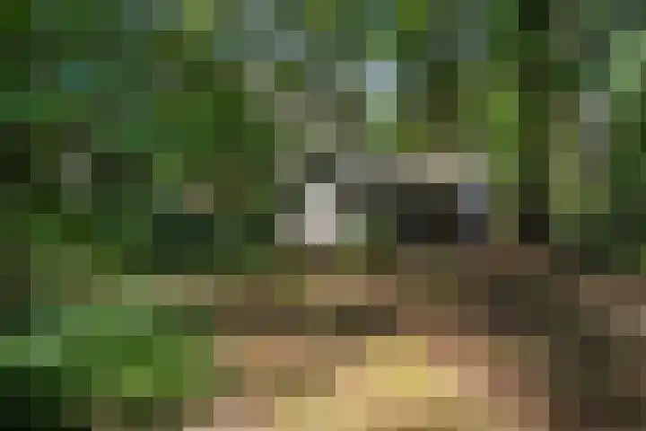Meelkerlaan 7 in Norg