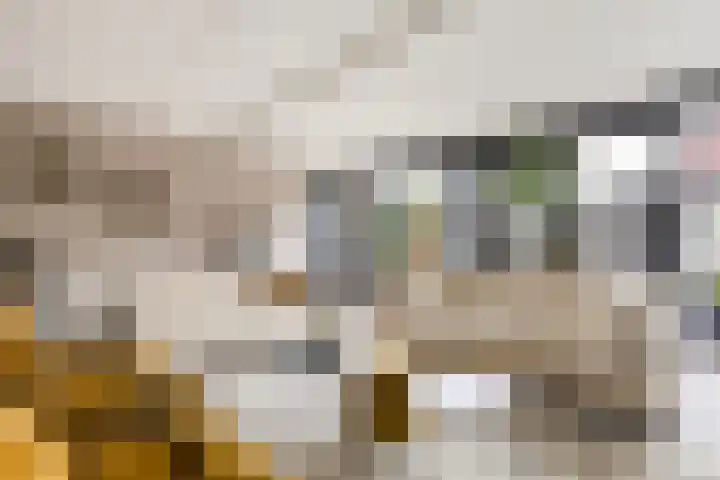 Meelzolder 8 Nunspeet thumbnail 11