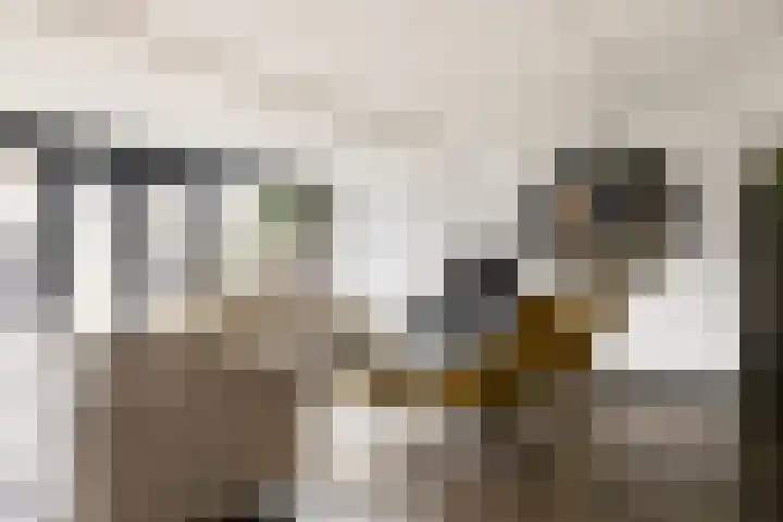 Meelzolder 8 Nunspeet thumbnail 12