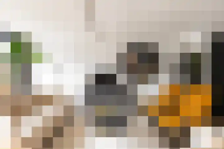 Meelzolder 8 Nunspeet thumbnail 13