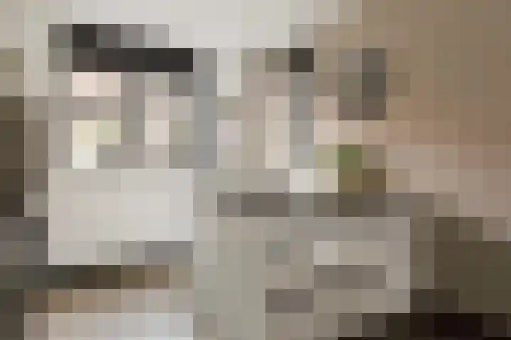 Meelzolder 8 Nunspeet thumbnail 17