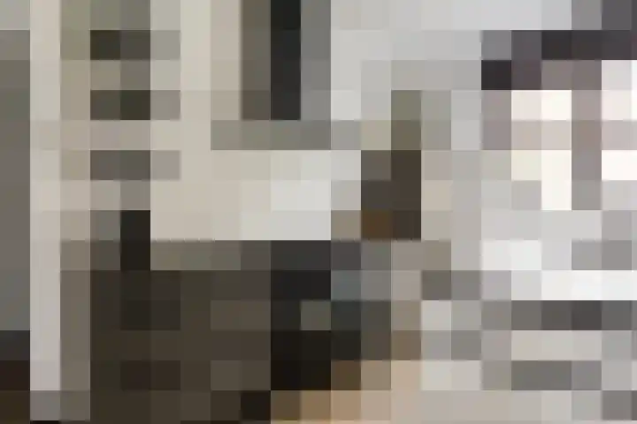 Meelzolder 8 Nunspeet thumbnail 18