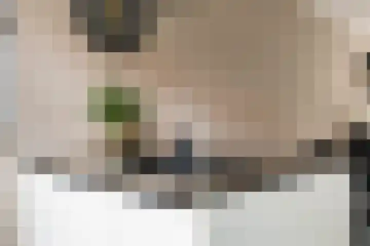 Meelzolder 8 Nunspeet thumbnail 19