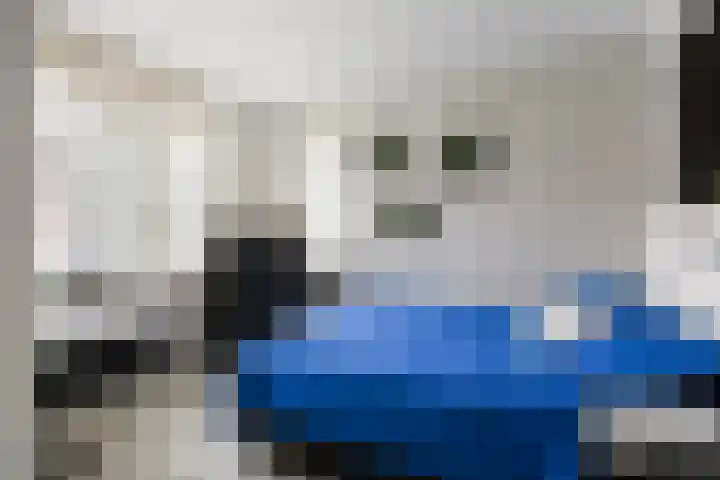 Meelzolder 8 Nunspeet thumbnail 26
