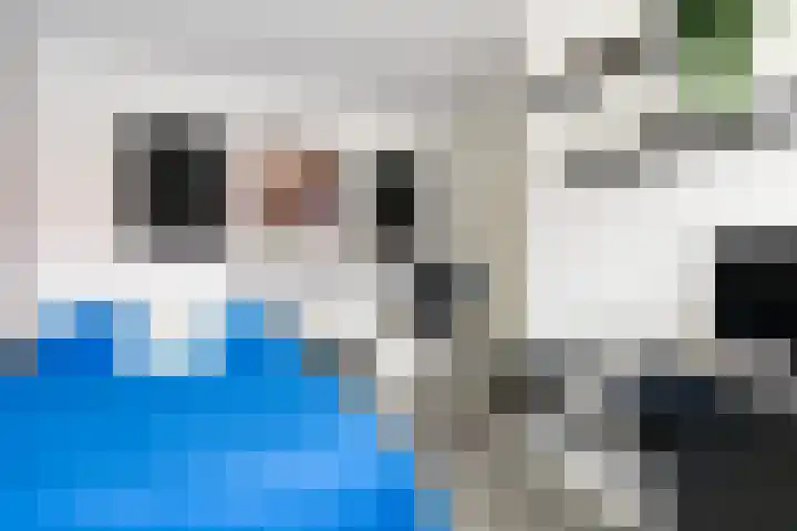 Meelzolder 8 Nunspeet thumbnail 27