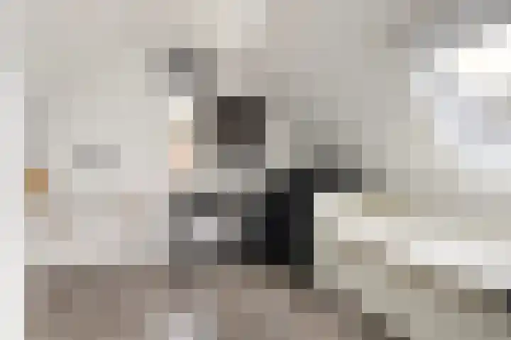 Meelzolder 8 Nunspeet thumbnail 32