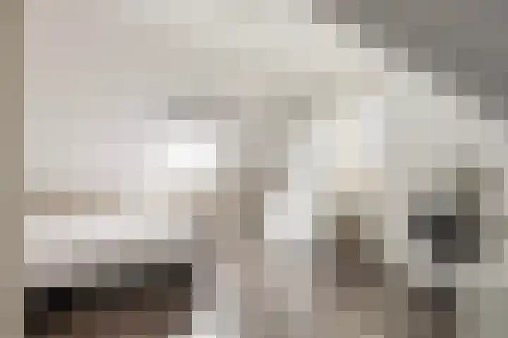 Meelzolder 8 Nunspeet thumbnail 33