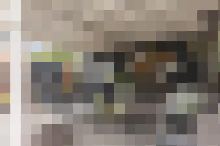 Meelzolder 8 Nunspeet thumbnail 34
