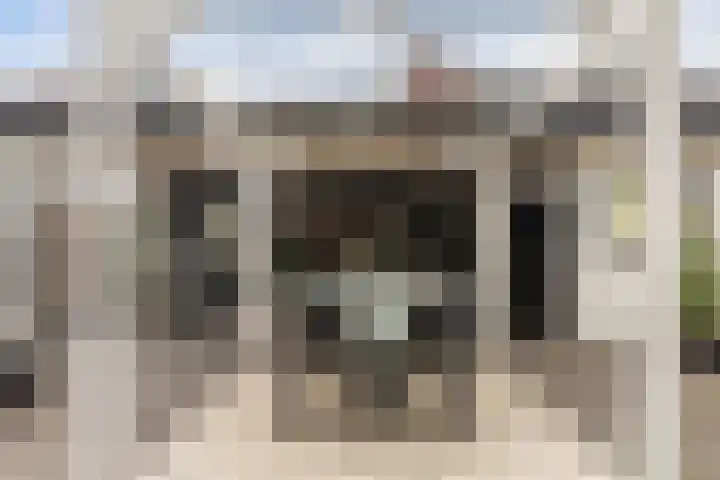 Meelzolder 8 Nunspeet thumbnail 37