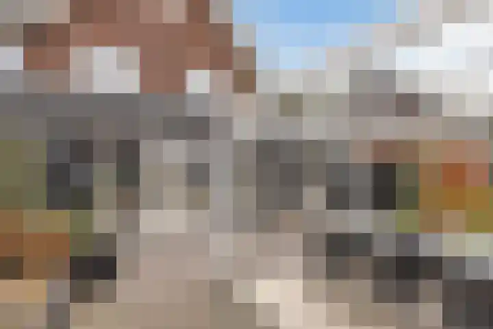 Meelzolder 8 Nunspeet thumbnail 38