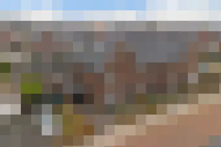 Meelzolder 8 Nunspeet thumbnail 41