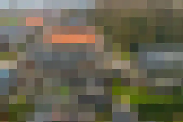 Meelzolder 8 Nunspeet thumbnail 43