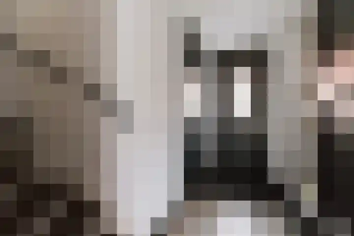 Meelzolder 8 Nunspeet thumbnail 9