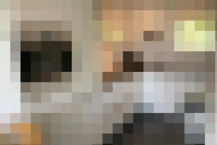 Meent 104 Norg thumbnail 10