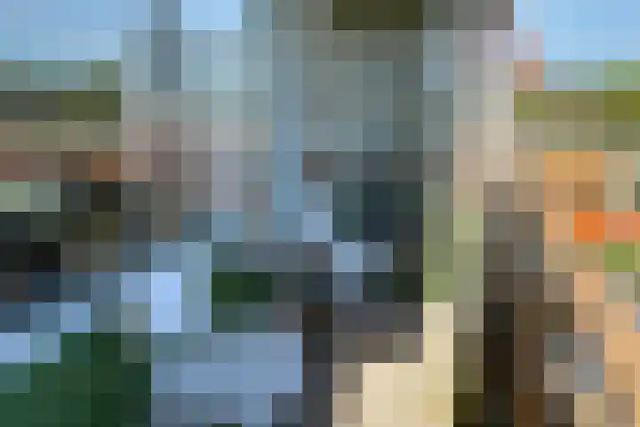 Meent 104 Norg thumbnail 19