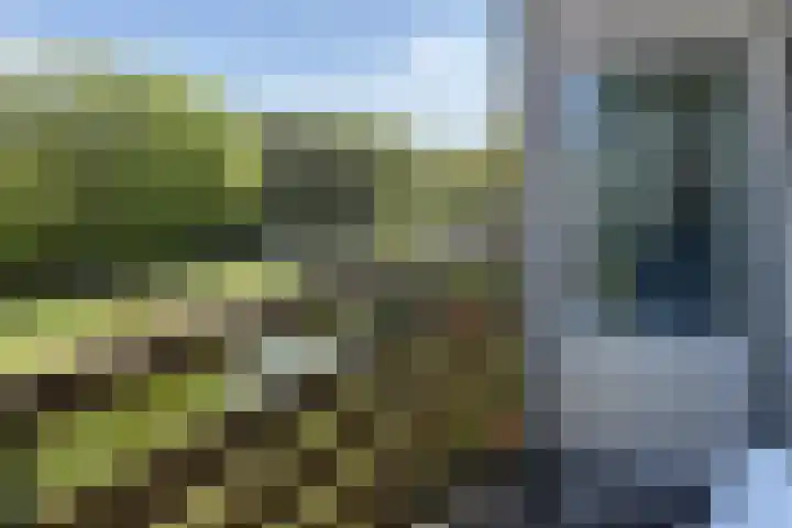 Meent 104 Norg thumbnail 20